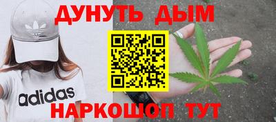сатива Чебоксары